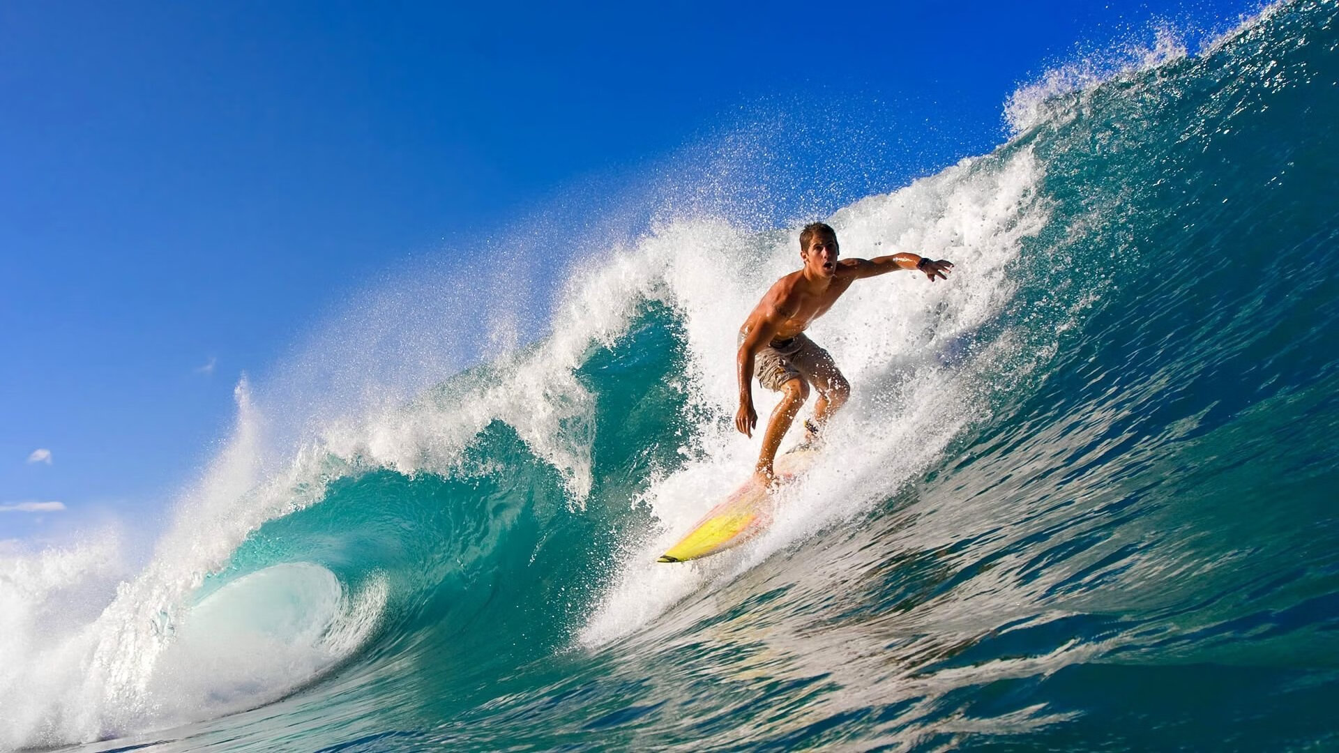 从法拉盛到都灵，德约科维奇如何将美网锋芒转化为ATP总决赛的团队胜利