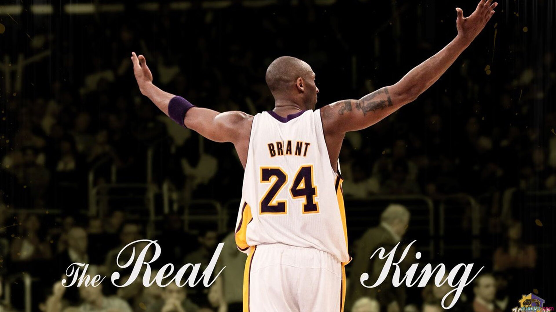 从奥斯陆到悉尼，鲁德的逆转哲学与网球新时代的黎明